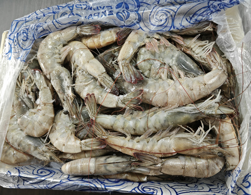 王牌對蝦
