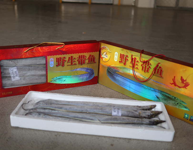 舟山野生帶魚